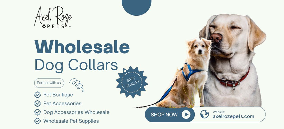 Axel Roze Pets promotional banner showcasing two dogs wearing collars, highlighting Wholesale Dog Collars.