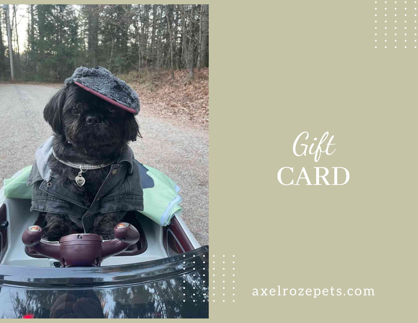 Axel Roze Pets gift card