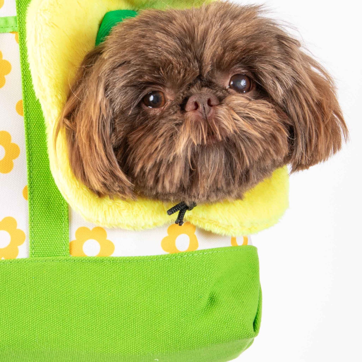 I Love New York Pet Tote Bag