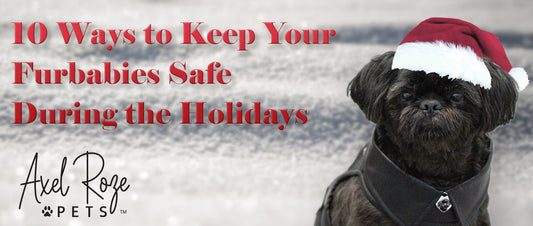 10 Ways to Keep Your Furbabies Safe During the Holidays - Axel Roze Pets