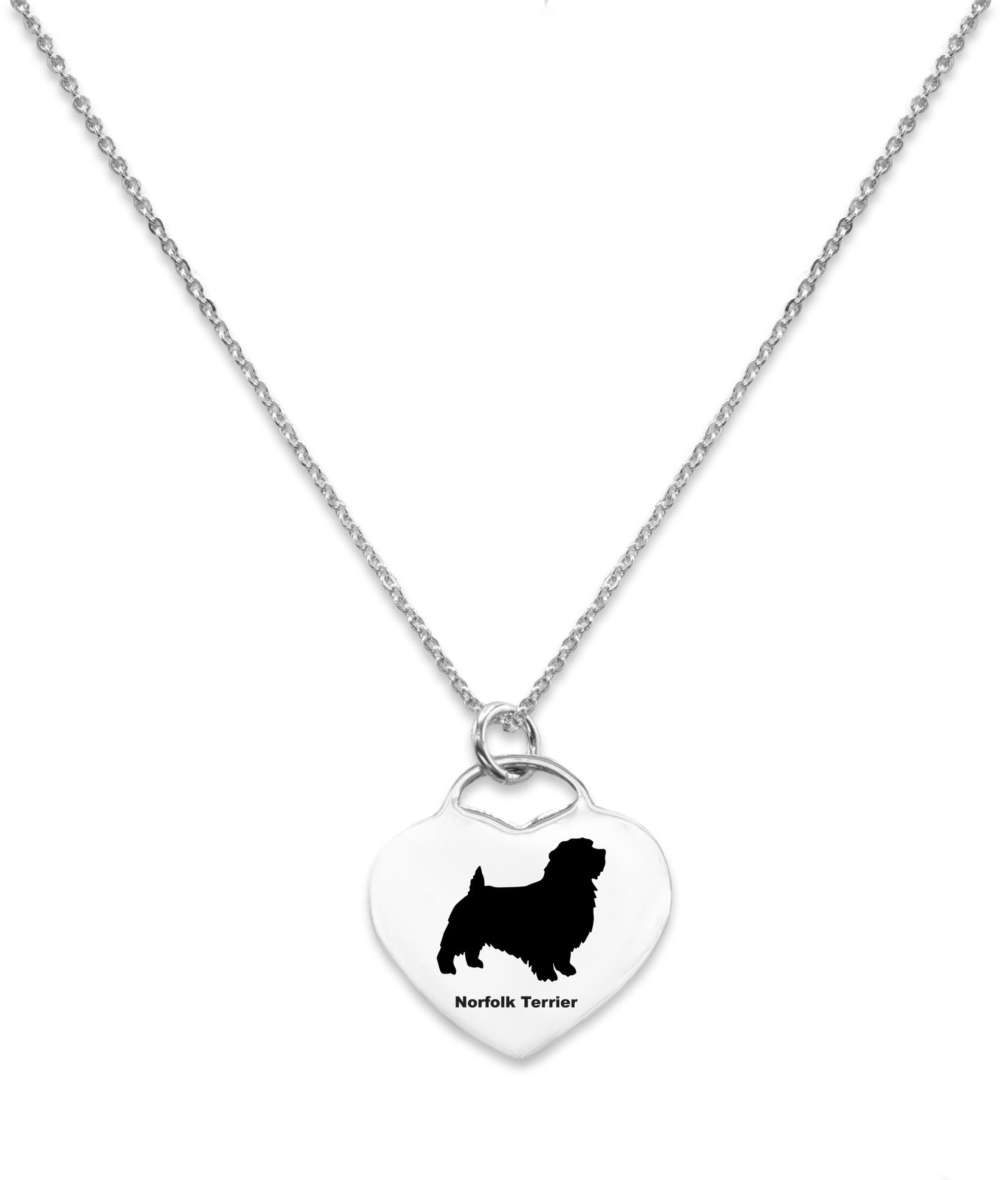 Norfolk Terrier Charm